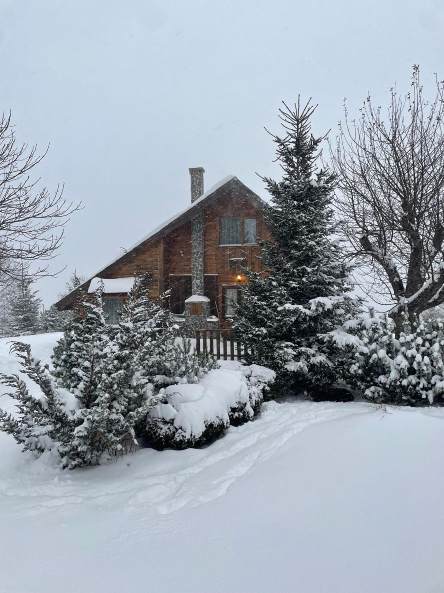 Chalet Ro Pestera  Luaran gambar