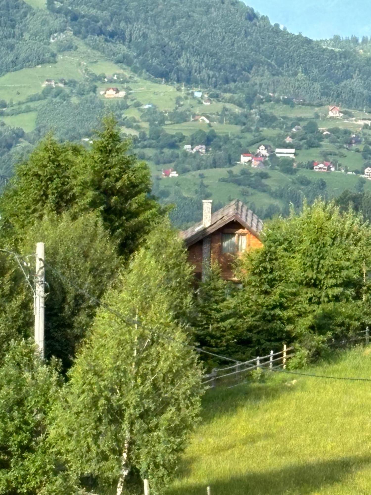 Chalet Ro Pestera  Luaran gambar